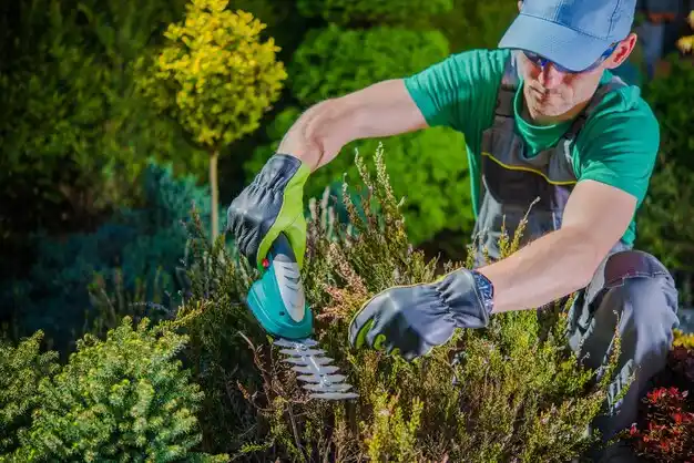 landscaping services Harper Woods